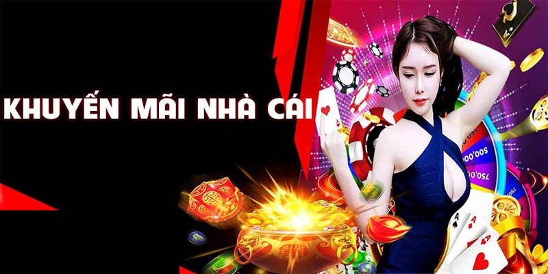 Khuyến mãi nhà cái